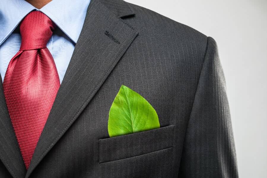 A man in a suit with a leaf as his pocket kerchief.