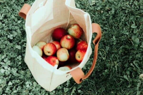 Reusable grocery bag filled with apples